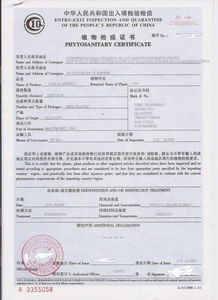 提供代辦植物檢驗證書,植檢證,清關單證植檢證價格 廠家 圖片
